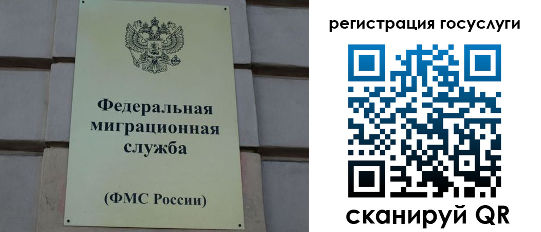 временная регистрация поиск в Михайловске